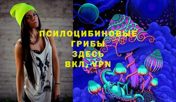 a pvp Белокуриха